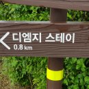 디엠지스테이 이미지