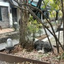 평천로74번길 이미지