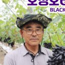 상관농장 이미지