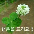 덕담