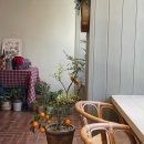 자연 이(e) 래 이미지