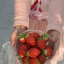 알로3 농장 이미지