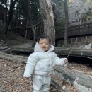 부산어린이대공원 | 부산에서 어린이대공원산책 &amp; 아기랑 숲 놀이 체험 추천