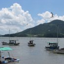 대포갯벌 이미지