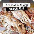 소래포구꽃게 시세 끝물 암꽃게 가격 정보