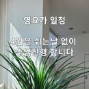 영요가+명상 | 영요가 명상