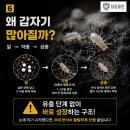 가가방역
