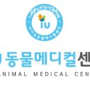 아이유동물메디컬센터 | 아이유동물메디컬센터 진료시간 접근성 이용후기