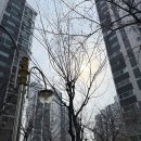 [임장후기] 3월의 구리시 임쟝 - ⚡️