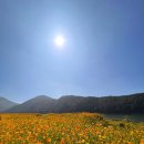 석문식당 | [충북 단양] 여자혼자 얼렁뚱땅 1박2일| 잔도/ 구경시장/ 도담삼봉/ 석문/ 카페 산