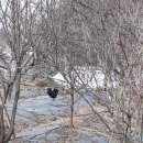 소구월사거리 이미지