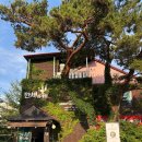 수지 삼계탕 맛집 대한민국만세삼계탕 본점 | 상황버섯 보양식 내돈내산 후기 (메뉴/주차)