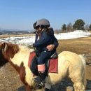 평창 아이와 가볼만한 곳 ㅣ주주파크