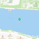 철인복싱클럽 이미지