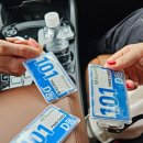 자작나무숲펜션 이미지