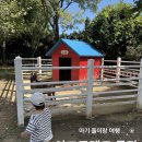우천목장 | 당진 아그로랜드 태신목장 🐄 아기랑 가기 좋은 체험형 목장 (요금·체험 정리)