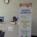 악양 승마장 | 경남 함안군승마공원 악양승마장에서 말구경하기 / 경남 승마체험장 아이랑 가볼만한곳