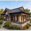 커피 공화국 한국, 다방~개인 카페까지 이미지