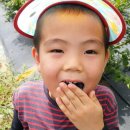 신계농장 이미지