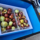 용복농장 이미지