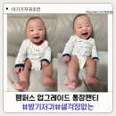 밤새 편안한 통잠 기저귀 팸퍼스 업그레이드 통잠팬티 4단계 후기