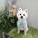 에바 가위컷 전문점 이미지