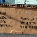 준행목장 네이버블로그