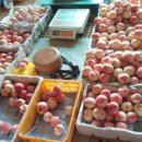 사암농장 이미지