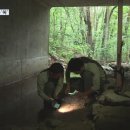 생태이동통로 이미지