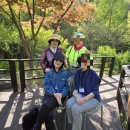 소양강가든 이미지