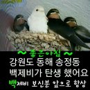 삼성전자를 추매하면서 이미지