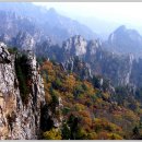 십이선녀탕주유소 이미지