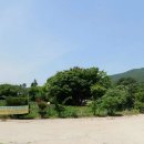 신니마당가든 이미지