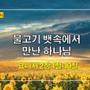 매일물고기