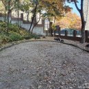 신흥제3어린이집 이미지