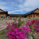 약수산채마을 이미지