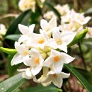 제주 올레길 14-1코스 이미지