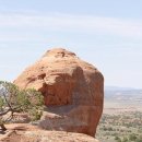 코끼리한의원 이미지