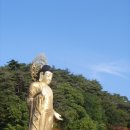 자비 이미지