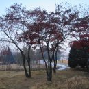 원주종합운동장 이미지