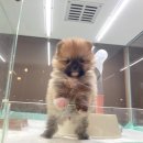 수원-1348 이미지