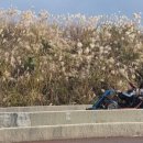 애월 주스테이 이미지