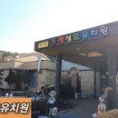 동정성모유치원 이미지