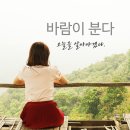 (주)디프레임이칠구 | 나의 바람들에게 (사진강의 + 인스타챌린지) 1기 후기