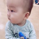 (주)신나는농장