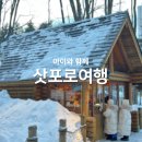 신명치과의원 | [시온 밖의 이야기]아이와 삿포로여행 4일차: 비에이여행,크리스마스트리나무,탁신관갤러리,자작나무,흰...