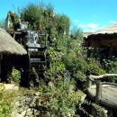 봉평메밀 허생원메밀국수 이미지