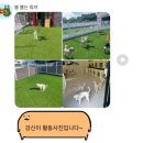 멍문(moon) 이미지