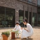 브로스냅 이미지