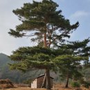 노경1리마을회관 네이버블로그
